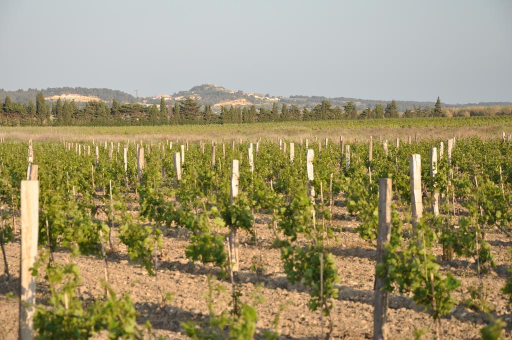 Vila Les Fenals Fitou Exteriér fotografie