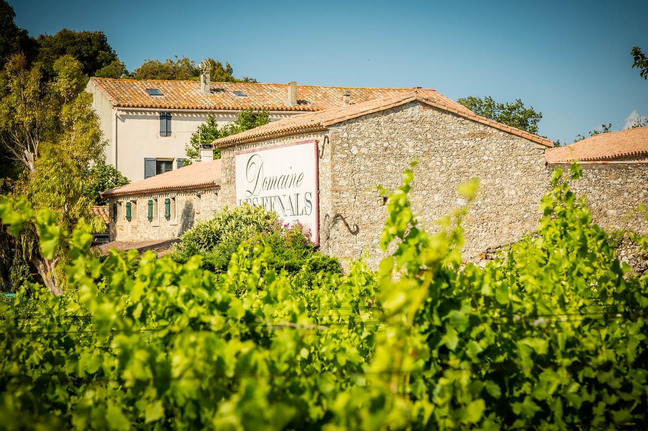 Vila Les Fenals Fitou Exteriér fotografie